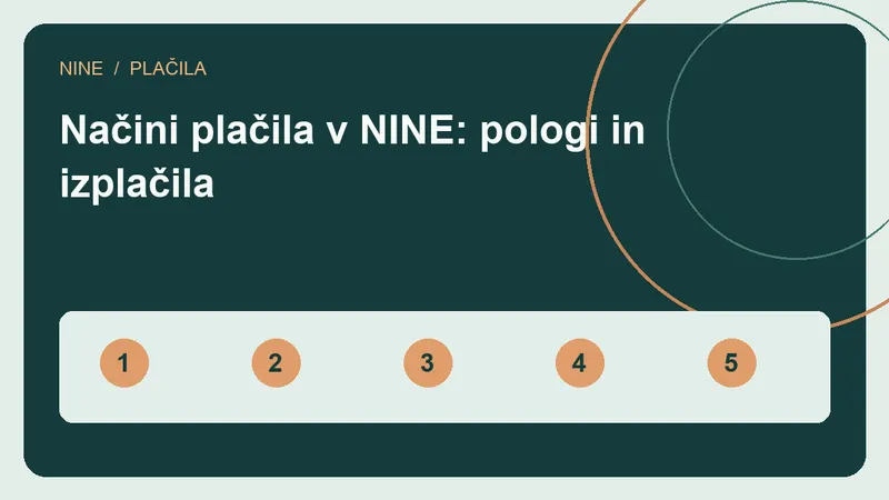 Pregled petih plačilnih poti NINE